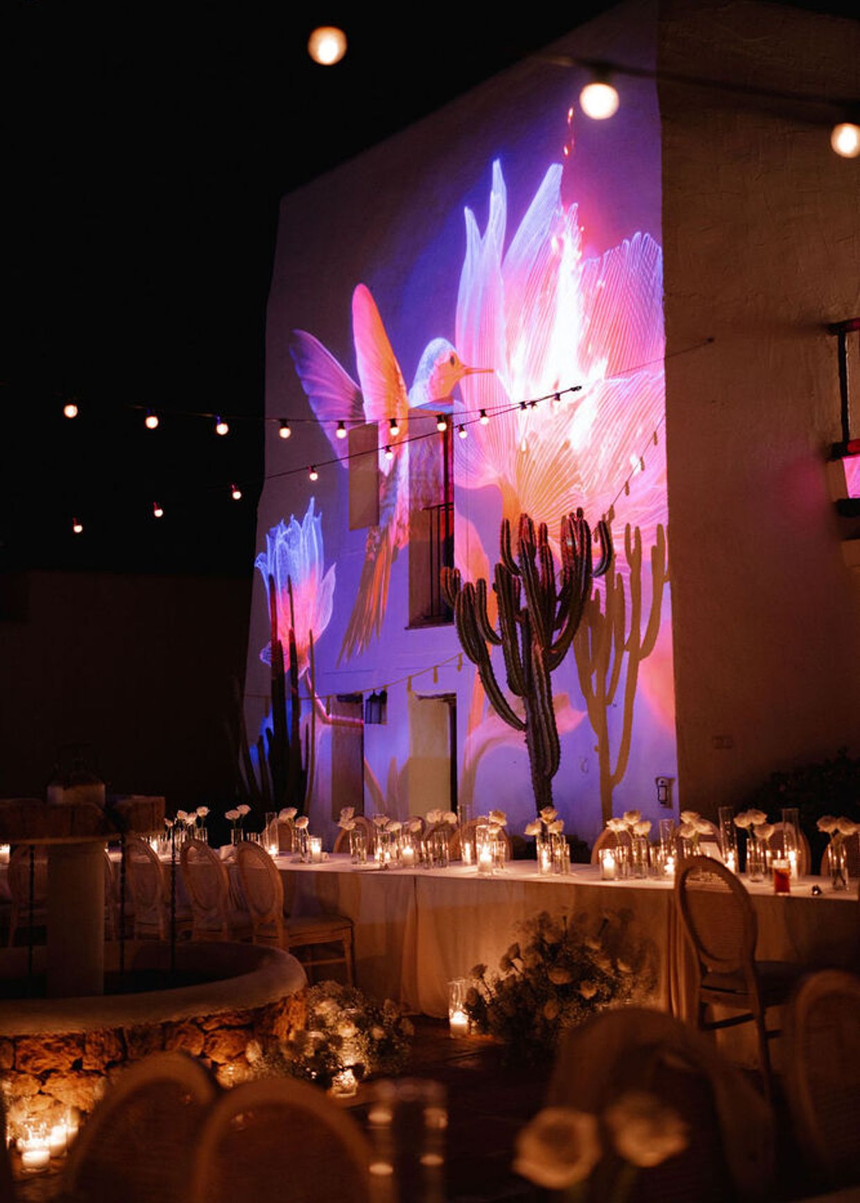 hummingbird 3d mapping Ibiza