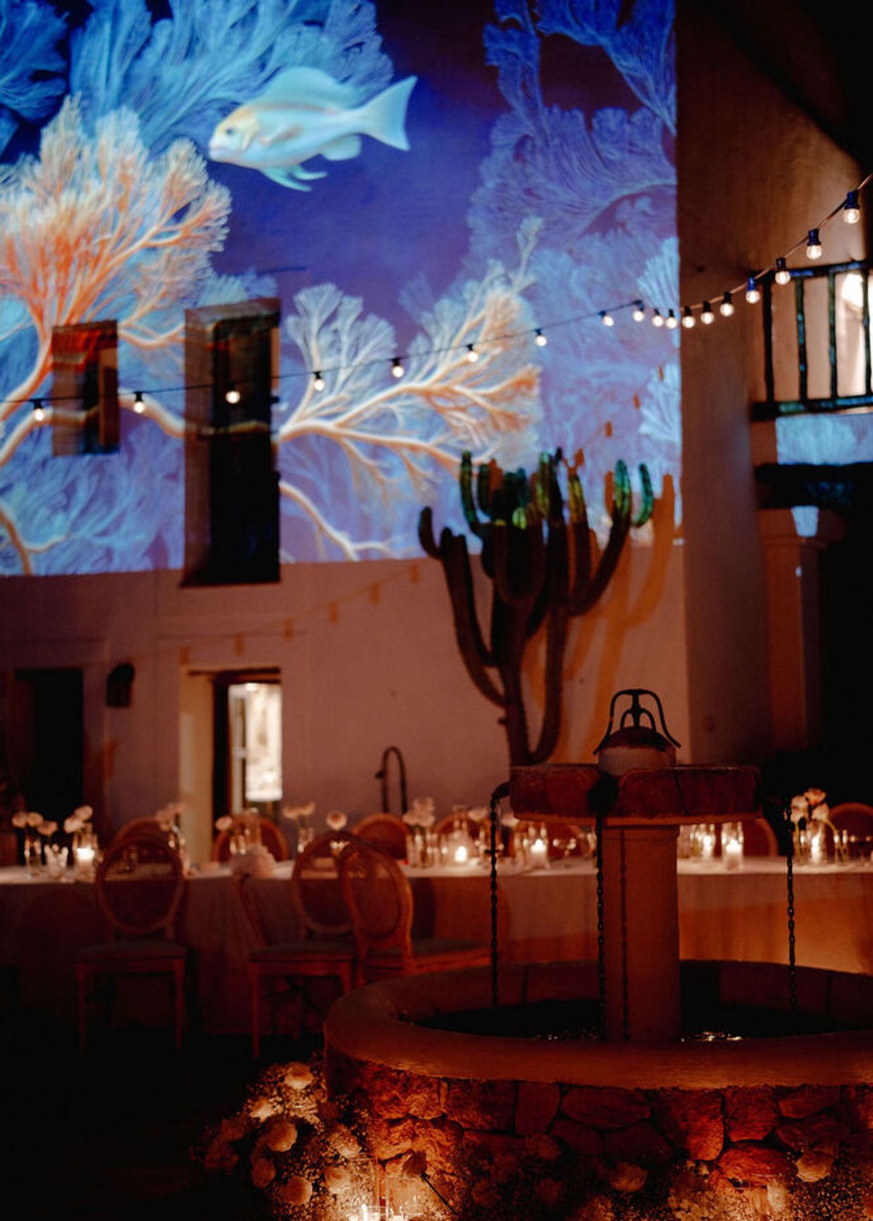 aquarium 3d mapping ibiza